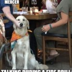 fire drill | MRS 
MERCER; TALKING DURING A FIRE DRILL | image tagged in dog under table | made w/ Imgflip meme maker