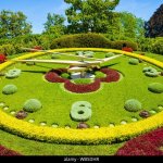 Geneva flower clock