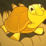 tortuga