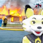 Ember The Fox Burning Building