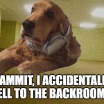whoa its my dog | DAMMIT, I ACCIDENTALLY FELL TO THE BACKROOMS | image tagged in my dog chilling in the backrooms,fun,memes | made w/ Imgflip meme maker