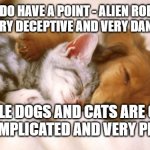 Dog And Cat Napping 2gether 4 | YOU DO HAVE A POINT - ALIEN ROBOTS CAN BE VERY DECEPTIVE AND VERY DANGEROUS -; - WHILE DOGS AND CATS ARE OFTEN LESS COMPLICATED AND VERY PEACEFUL. | image tagged in cats and dogs sleeping together,canines and felines,dogs and cats,house pets,animals,creatures | made w/ Imgflip meme maker