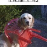 Dog chair | NO ONE: 
MY SISTER WHENEVER THERE’S A CHAIR SHE CAN FIT HER HEAD IN: | image tagged in dog chair | made w/ Imgflip meme maker