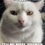 Bowie Tell Me More | I SEE... TELL ME MORE, HOOMAN. | image tagged in bowietellmemore | made w/ Imgflip meme maker