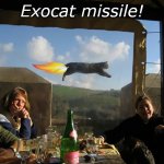 Exocat missile! | Exocat missile! | image tagged in cat photobombs picture,missile,cat,flame | made w/ Imgflip meme maker