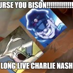 Long live Charlie Nash | CURSE YOU BISON!!!!!!!!!!!!!!!! LONG LIVE CHARLIE NASH | image tagged in lion king,street fighter,memes,funny | made w/ Imgflip meme maker