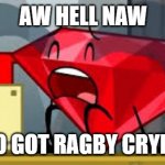 A BFDI meme in the style of a spunch bop meme because I'm bored. | AW HELL NAW; WHO GOT RAGBY CRYING? | image tagged in bfdi ruby crying,bfdi,spunch bop | made w/ Imgflip meme maker