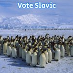 1 more vote | Vote Slavic | image tagged in 1 more vote,slavic | made w/ Imgflip meme maker