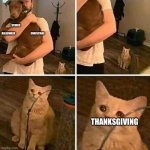 Ignored cat | STORES                                                               HALLOWEEN                             CHRISTMAS; THANKSGIVING | image tagged in ignored cat | made w/ Imgflip meme maker