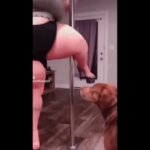 Violation | image tagged in gifs,funny,food,goofy | made w/ Imgflip video-to-gif maker