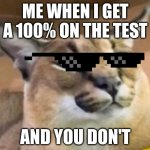 Floppa | ME WHEN I GET A 100% ON THE TEST; AND YOU DON'T | image tagged in floppa | made w/ Imgflip meme maker