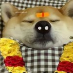 Doge dead indian version