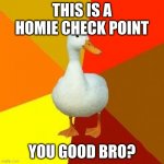 homie check point | THIS IS A HOMIE CHECK POINT; YOU GOOD BRO? | image tagged in memes,tech impaired duck | made w/ Imgflip meme maker