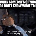 Can I offer you a nice egg in this trying time? | WHEN SOMEONE'S CRYING AND I DON'T KNOW WHAT TO DO: | image tagged in can i offer you a nice egg in this trying time | made w/ Imgflip meme maker