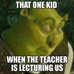 When the teacher is lecturing us | THAT ONE KID; WHEN THE TEACHER IS LECTURING US | image tagged in shrek face | made w/ Imgflip meme maker
