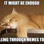 Lazy Cat | IT MIGHT BE ENOUGH; SCROLLING THROUGH MEMES TONIGHT | image tagged in lazy cat | made w/ Imgflip meme maker