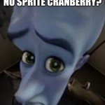 megamind no b | NO SPRITE CRANBERRY? | image tagged in megamind no b | made w/ Imgflip meme maker