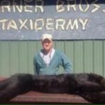 turner bros taxidermy panther