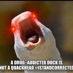 Screaming Duck 3 | A DRUG–ADDICTED DUCK IS NOT A QUACKHEAD #ISTANDCORRECTED | image tagged in screaming duck 3 | made w/ Imgflip meme maker