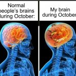 Normal people Brain in oct