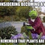Plants are alive | ME CONSIDERING BECOMING A VEGAN; THEN I REMEMBER THAT PLANTS ARE "ALIVE" | image tagged in kermit watering plants,fun,funny,memes | made w/ Imgflip meme maker