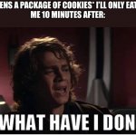 Anakin what have i done | ME: *OPENS A PACKAGE OF COOKIES* I’LL ONLY EAT 2 OR 3
ME 10 MINUTES AFTER: | image tagged in anakin what have i done,memes,funny | made w/ Imgflip meme maker