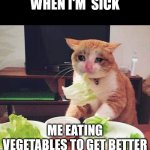 Cryingcat | WHEN I'M  SICK; ME EATING VEGETABLES TO GET BETTER | image tagged in cryingcat | made w/ Imgflip meme maker