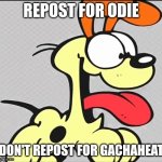 ODIE meme