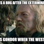 Where was Gondor when the Westfold fell? | WHEN THERES A BUG AFTER THE EXTERMINATOR SPRAYS; WHERE WAS GONDOR WHEN THE WESTFOLD FELL? | image tagged in where was gondor,bugs | made w/ Imgflip meme maker