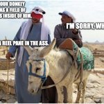 Reel Pane In The Ass | YOUR DONKEY HAS A FIELD OF COILS INSIDE OF HIM. I'M SORRY, WHAT? IT'S A REEL PANE IN THE ASS. | image tagged in donkey talk,puns | made w/ Imgflip meme maker