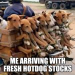 <h1>freshhotdogstock</h1> | ME ARRIVING WITH FRESH HOTDOG STOCKS | image tagged in dogs for hotdog | made w/ Imgflip meme maker