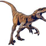 Tiger (Stylized)