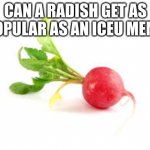 can it? | CAN A RADISH GET AS POPULAR AS AN ICEU MEME | image tagged in radish,memes,imgflip,one does not simply,waiting skeleton | made w/ Imgflip meme maker