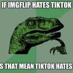 Who knows | IF IMGFLIP HATES TIKTOK; THEN DOES THAT MEAN TIKTOK HATES IMGFLIP? | image tagged in philosophy dinosaur | made w/ Imgflip meme maker