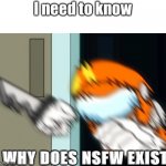 Broken Socksfor1 | I need to know; WHY DOES NSFW EXIST | image tagged in broken socksfor1 | made w/ Imgflip meme maker