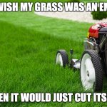 imaginative title | I WISH MY GRASS WAS AN EMO; THEN IT WOULD JUST CUT ITSELF | image tagged in lawn mower | made w/ Imgflip meme maker