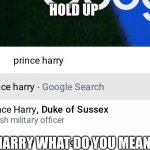 hold up harry what are you telling us | HOLD UP; HARRY WHAT DO YOU MEAN | image tagged in hold up | made w/ Imgflip meme maker