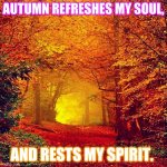 Autumn walk | AUTUMN REFRESHES MY SOUL, AND RESTS MY SPIRIT. | image tagged in autumn walk | made w/ Imgflip meme maker