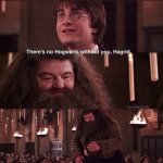 there's no Hogwarts without u Hagrid