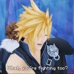 Kingdom Hearts Cloud what you're fighting too