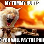 please help </3 | MY TUMMY HURTS SO YOU WILL PAY THE PRICE | image tagged in machine gun cat | made w/ Imgflip meme maker