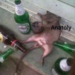 Anatoly. meme