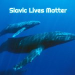 Baby Blue Whale | Slavic Lives Matter | image tagged in baby blue whale,slavic | made w/ Imgflip meme maker