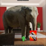 friendly elephant | OH HI THERE; I FOUND THIS IN THE MAILBOX AND I BELIEVE YOU MIGHT NEED THIS PLUS I FOUND SOME UPVOTES IN THERE | image tagged in elephant in the room,upvotes,elephants,movies | made w/ Imgflip meme maker