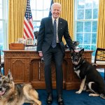 Biden and Dogs