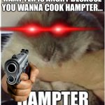 Stop cooking hampter, is not good it is animal abuŠ3. | HAMPTER IS ANGRY BECAUSE YOU WANNA COOK HAMPTER… | image tagged in hampter | made w/ Imgflip meme maker