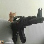 cat sniper