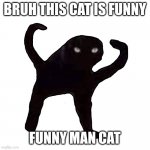 Funny Cat Man | BRUH THIS CAT IS FUNNY; FUNNY MAN CAT | image tagged in the cat man | made w/ Imgflip meme maker