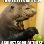 Great For Bad Puns | THERE OTTER BE A LAW; AGAINST SOME OF THESE | image tagged in disgusted otter | made w/ Imgflip meme maker