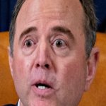 Schiff for Brains